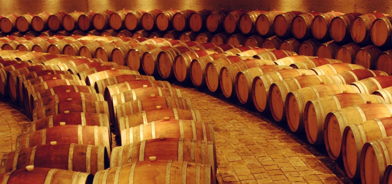 Catena´s barrels room